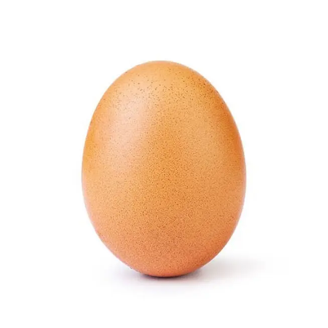 world record egg